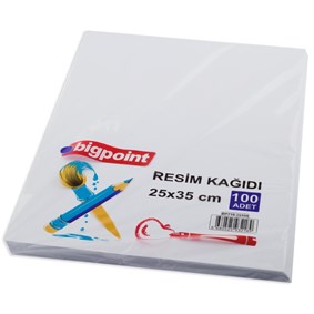 Bigpoint Resim Kağıdı 25x35cm 100lü Paket